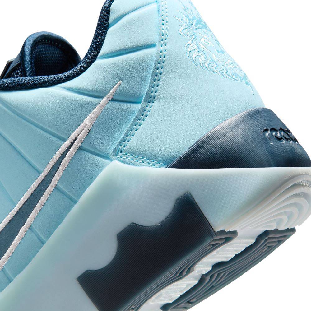 NIKE LEBRON WITNESS IX