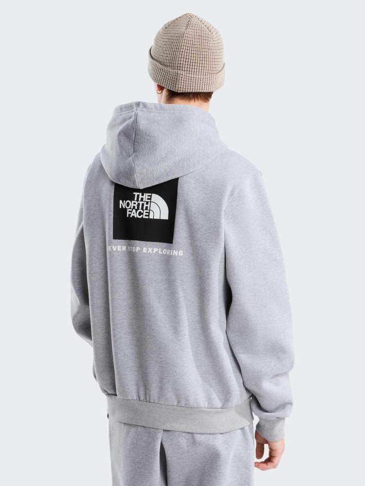 THE NORTH FACE M EVOLUTION BOX NSE REGULAR HOODIE