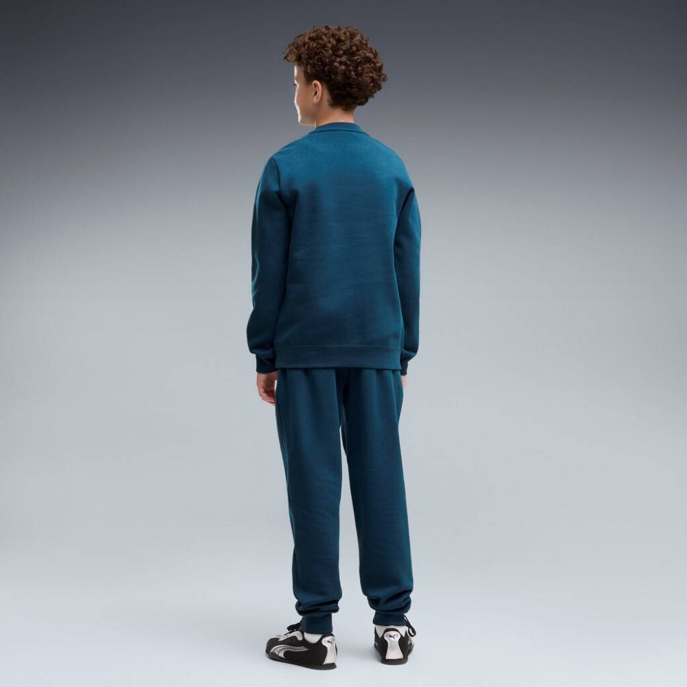 PUMA ESS NO.1 LOGO CREW SWEAT SUIT  FL B