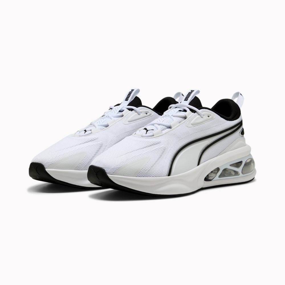PUMA CELL SOLAR
