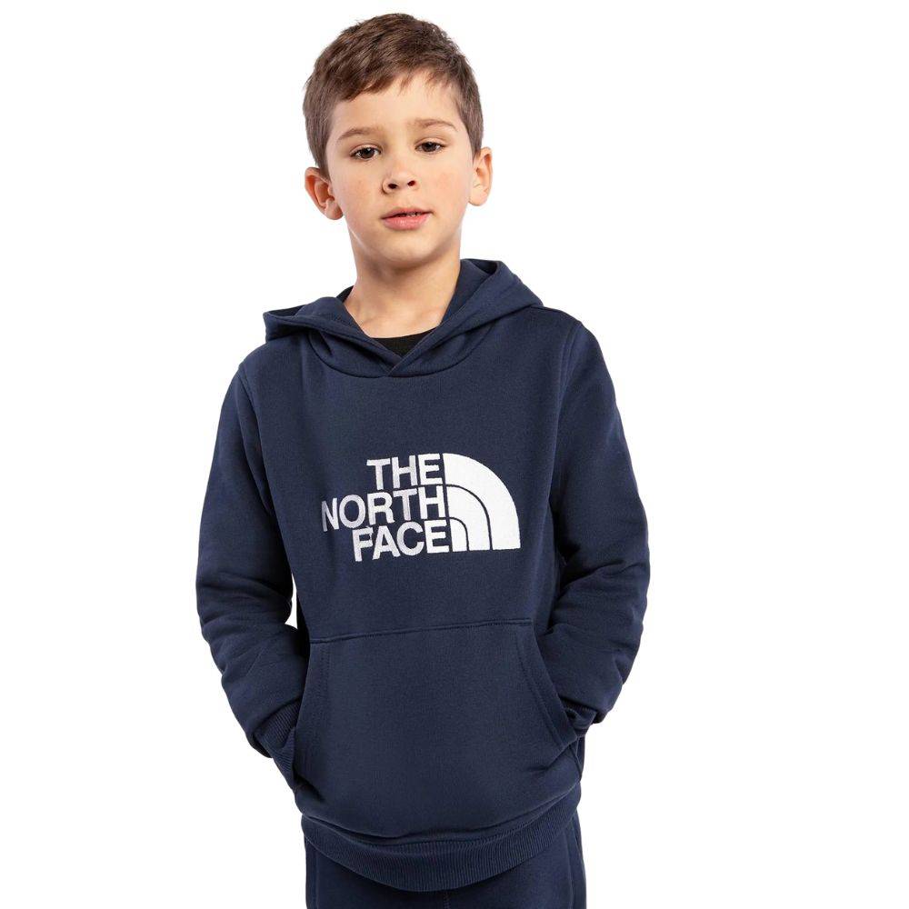 NORTH FACE YOUTH DREW PEAK HOODIE