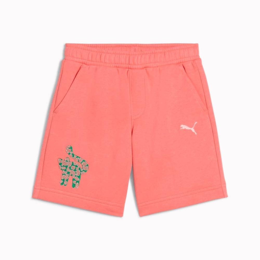 PUMA CATS CLUB SHORTS TR PS