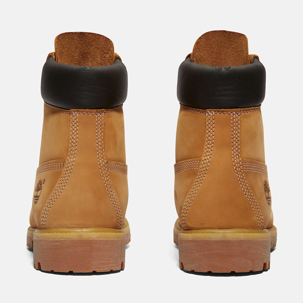 TIMBERLAND PREMIUM 6 INCH LACE UP WATERPROOF BOOT
