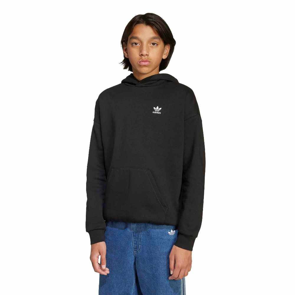 ADIDAS LOOSE HOODIE FL