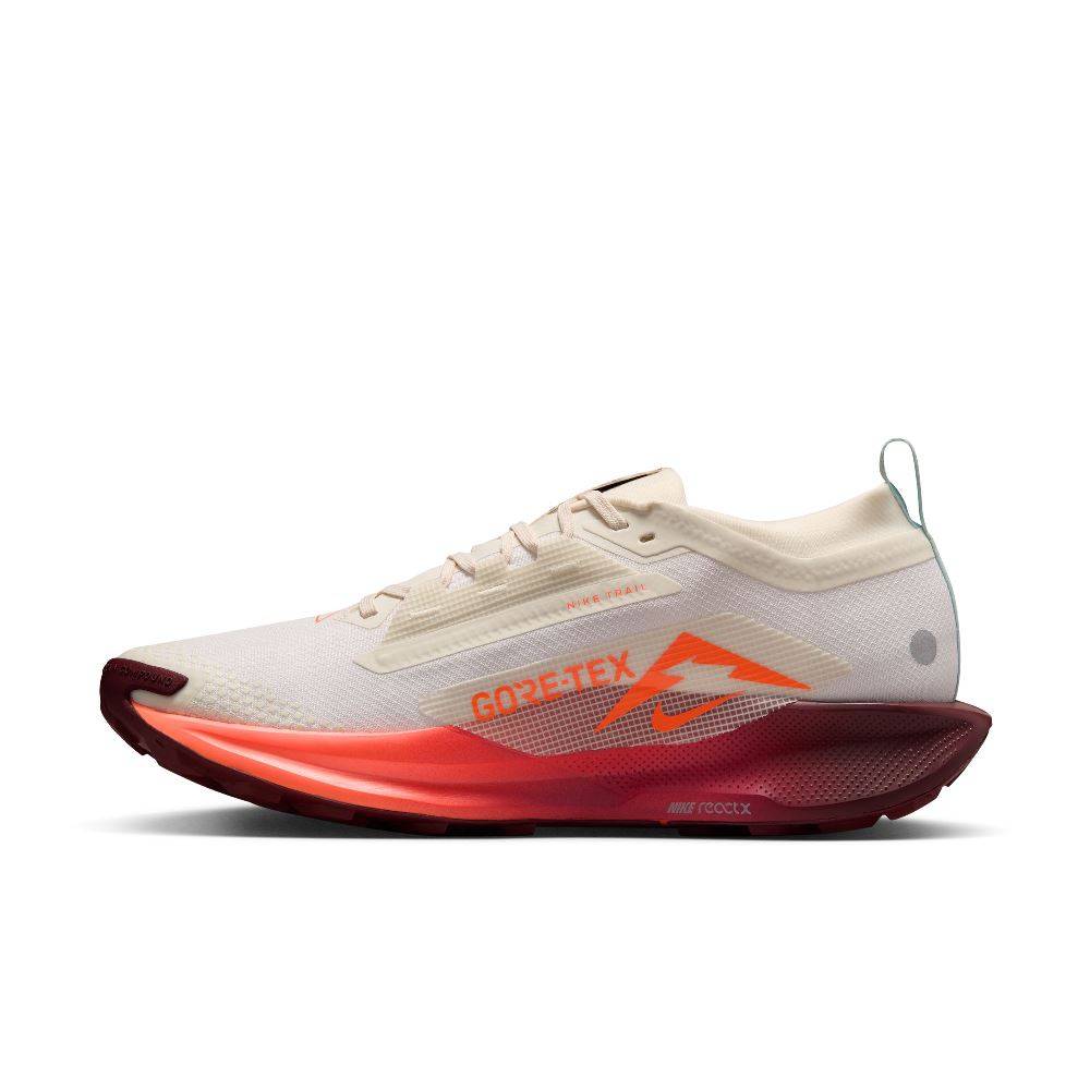 NIKE PEGASUS TRAIL 5 GTX